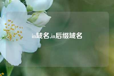 in域名,in后缀域名