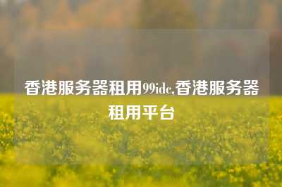 香港服务器租用99idc,香港服务器租用平台