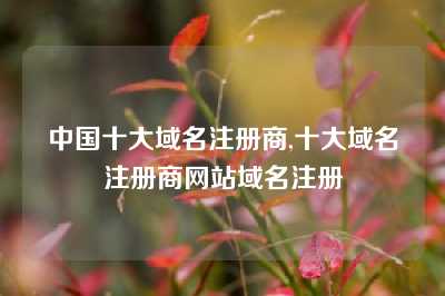 中国十大域名注册商,十大域名注册商网站域名注册