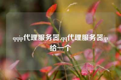 qqip代理服务器,qq代理服务器ip给一个