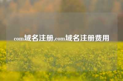 com域名注册,com域名注册费用