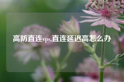 高防直连vps,直连延迟高怎么办