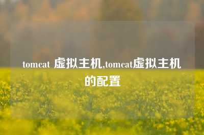 tomcat 虚拟主机,tomcat虚拟主机的配置