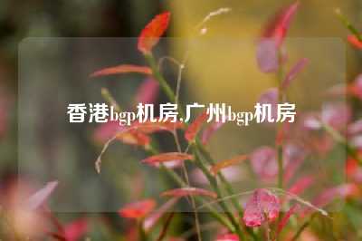 香港bgp机房,广州bgp机房