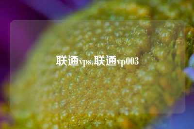 联通vps,联通vp003