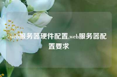web服务器硬件配置,web服务器配置要求