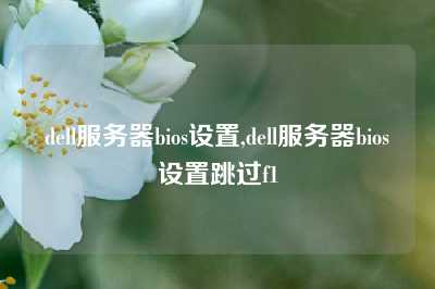 dell服务器bios设置,dell服务器bios设置跳过f1