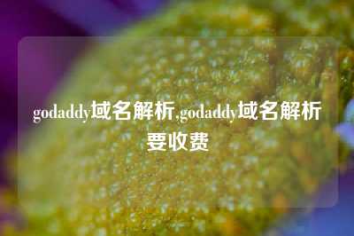 godaddy域名解析,godaddy域名解析要收费