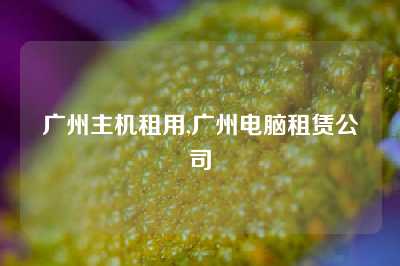 广州主机租用,广州电脑租赁公司
