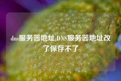 dns服务器地址,DNS服务器地址改了保存不了