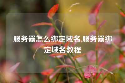 服务器怎么绑定域名,服务器绑定域名教程