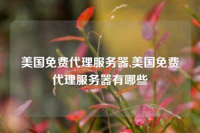 美国免费代理服务器,美国免费代理服务器有哪些