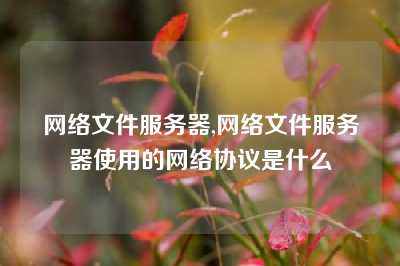 网络文件服务器,网络文件服务器使用的网络协议是什么