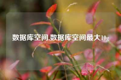 数据库空间,数据库空间最大10g