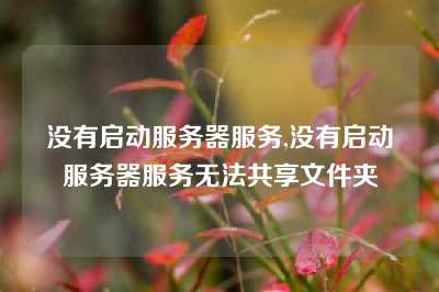 没有启动服务器服务,没有启动服务器服务无法共享文件夹