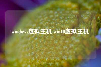 windows虚拟主机,win10虚拟主机