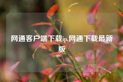 网通客户端下载ip,网通下载最新版