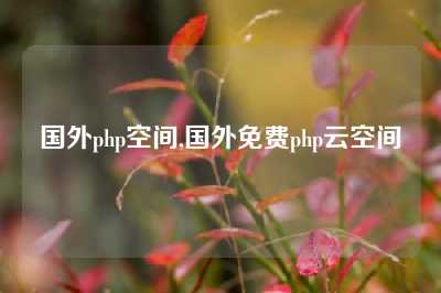 国外php空间,国外免费php云空间