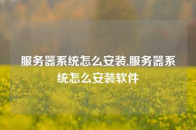 服务器系统怎么安装,服务器系统怎么安装软件