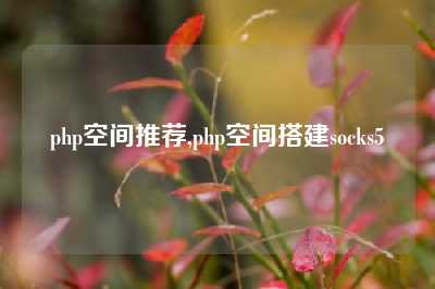 php空间推荐,php空间搭建socks5