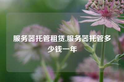 服务器托管租赁,服务器托管多少钱一年