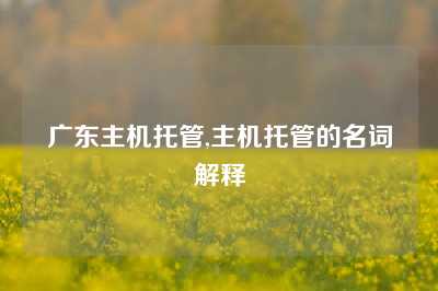 广东主机托管,主机托管的名词解释