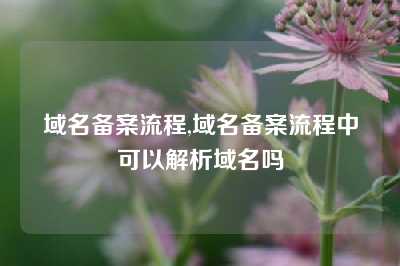 域名备案流程,域名备案流程中可以解析域名吗