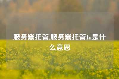 服务器托管,服务器托管1u是什么意思