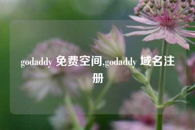 godaddy 免费空间,godaddy 域名注册