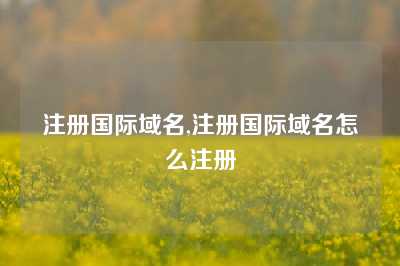 注册国际域名,注册国际域名怎么注册