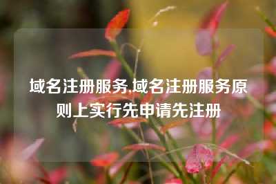 域名注册服务,域名注册服务原则上实行先申请先注册