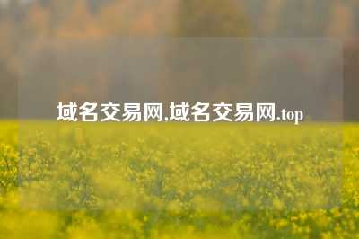 域名交易网,域名交易网.top