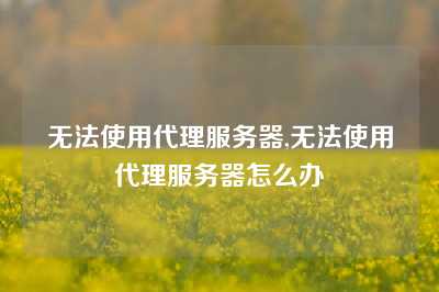 无法使用代理服务器,无法使用代理服务器怎么办