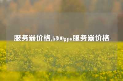 服务器价格,h800gpu服务器价格