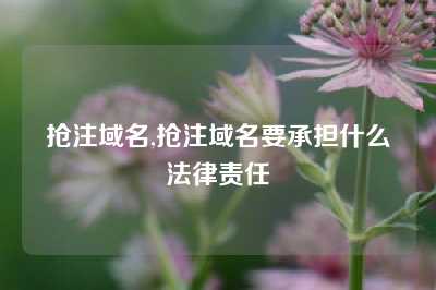抢注域名,抢注域名要承担什么法律责任