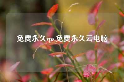 免费永久vps,免费永久云电脑