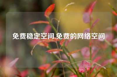 免费稳定空间,免费的网络空间