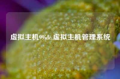 虚拟主机99idc,虚拟主机管理系统