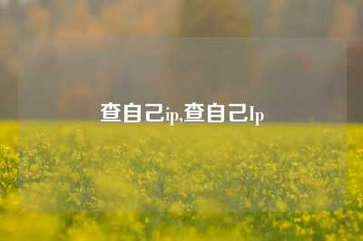 查自己ip,查自己Ip