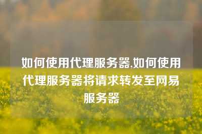 如何使用代理服务器,如何使用代理服务器将请求转发至网易服务器