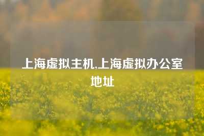 上海虚拟主机,上海虚拟办公室地址