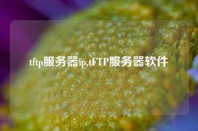 tftp服务器ip,tFTP服务器软件