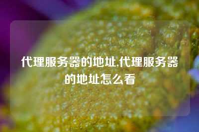 代理服务器的地址,代理服务器的地址怎么看