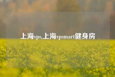 上海vps,上海vpsmart健身房