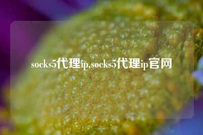socks5代理ip,socks5代理ip官网