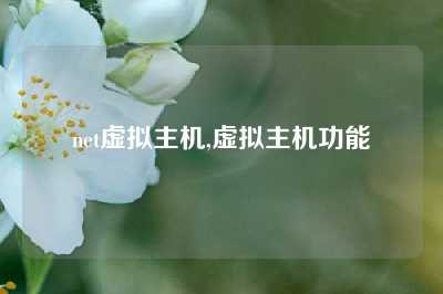 net虚拟主机,虚拟主机功能
