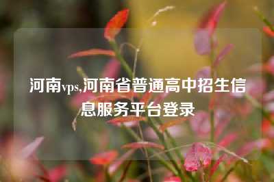 河南vps,河南省普通高中招生信息服务平台登录
