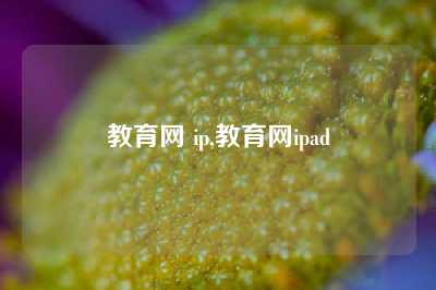 教育网 ip,教育网ipad