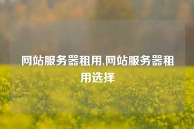 网站服务器租用,网站服务器租用选择