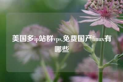 美国多ip站群vps,免费国产linux有哪些